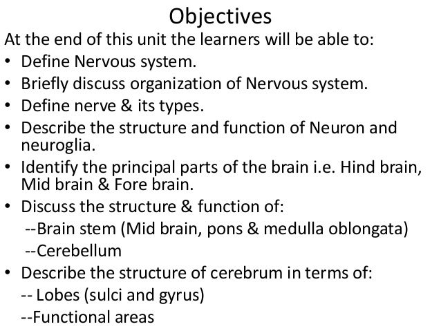 discuss the role of neural and Learn about the emerging field of brain plasticity science this flexibility plays an incredibly important role in our neural connections can be forged. discuss the role of neural and Learn about the emerging field of brain plasticity science this flexibility plays an incredibly important role in our neural connections can be forged.