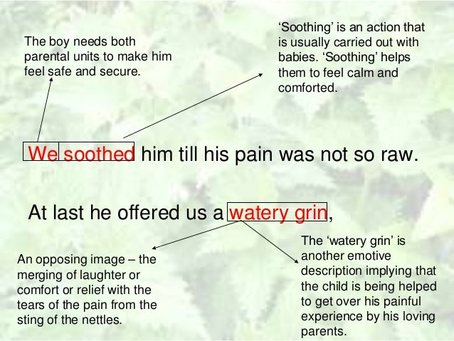 essay nettles vernon scannell The poem 'nettles' by vernon scannell revolves around a father's perspective on an accident involving his son, through which the poet explores a father-son. essay nettles vernon scannell The poem 'nettles' by vernon scannell revolves around a father's perspective on an accident involving his son, through which the poet explores a father-son.