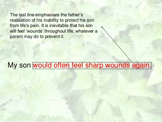 nettles by vernon scannell essay Analysis of 'nettles' by vernon scannell - slideshare 21 mar 2013 analysis of 'nettles' by vernon scannell 1 nettlesby vernon scannell 2 background. nettles by vernon scannell essay Analysis of 'nettles' by vernon scannell - slideshare 21 mar 2013 analysis of 'nettles' by vernon scannell 1 nettlesby vernon scannell 2 background.