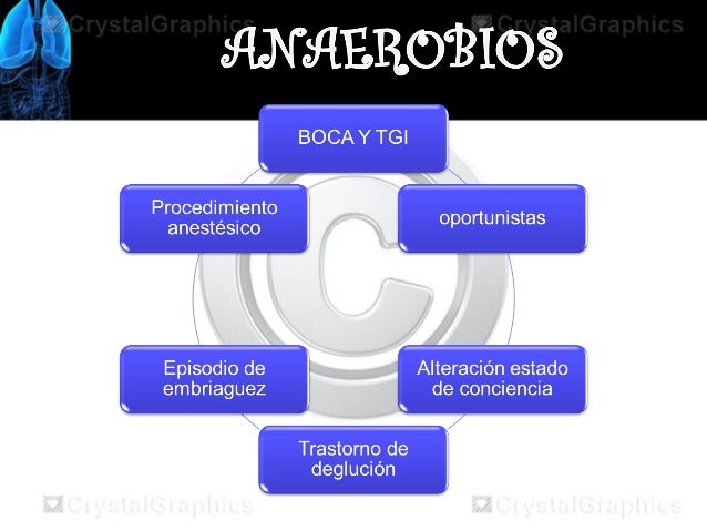 NEUMONIA NEUMONIA
