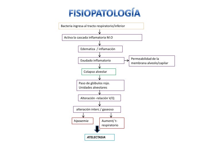 Fundamentos da Patologia na Engenharia Civil Fundamentos da Patologia na Engenharia Civil