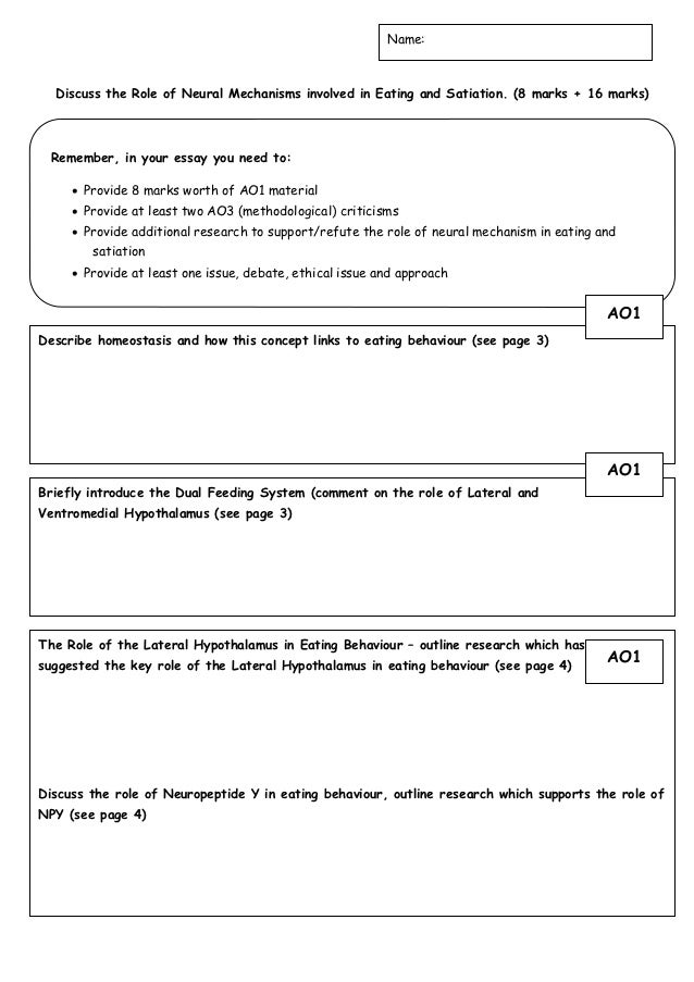 Informative Essay: Definition, Examples & Structure - Video