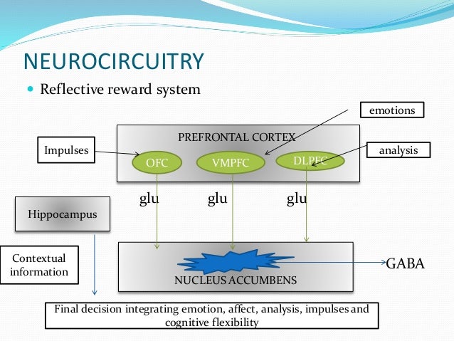 a discussion on the paraventricular nucleus of the thalamus in relation to the nucleus accumbens To receive news and publication updates for evidence-based complementary and alternative medicine, enter your email address in the box below. a discussion on the paraventricular nucleus of the thalamus in relation to the nucleus accumbens To receive news and publication updates for evidence-based complementary and alternative medicine, enter your email address in the box below.