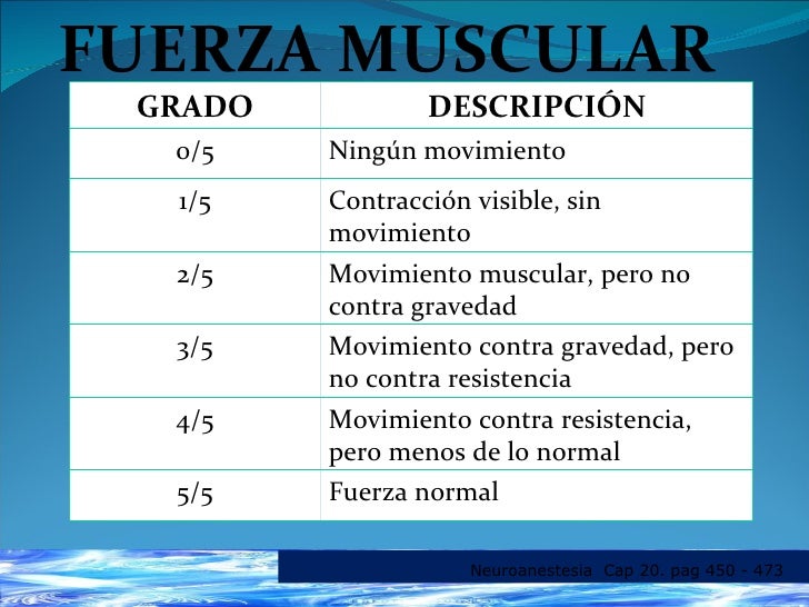 Escala De Fuerza Muscular 5 5