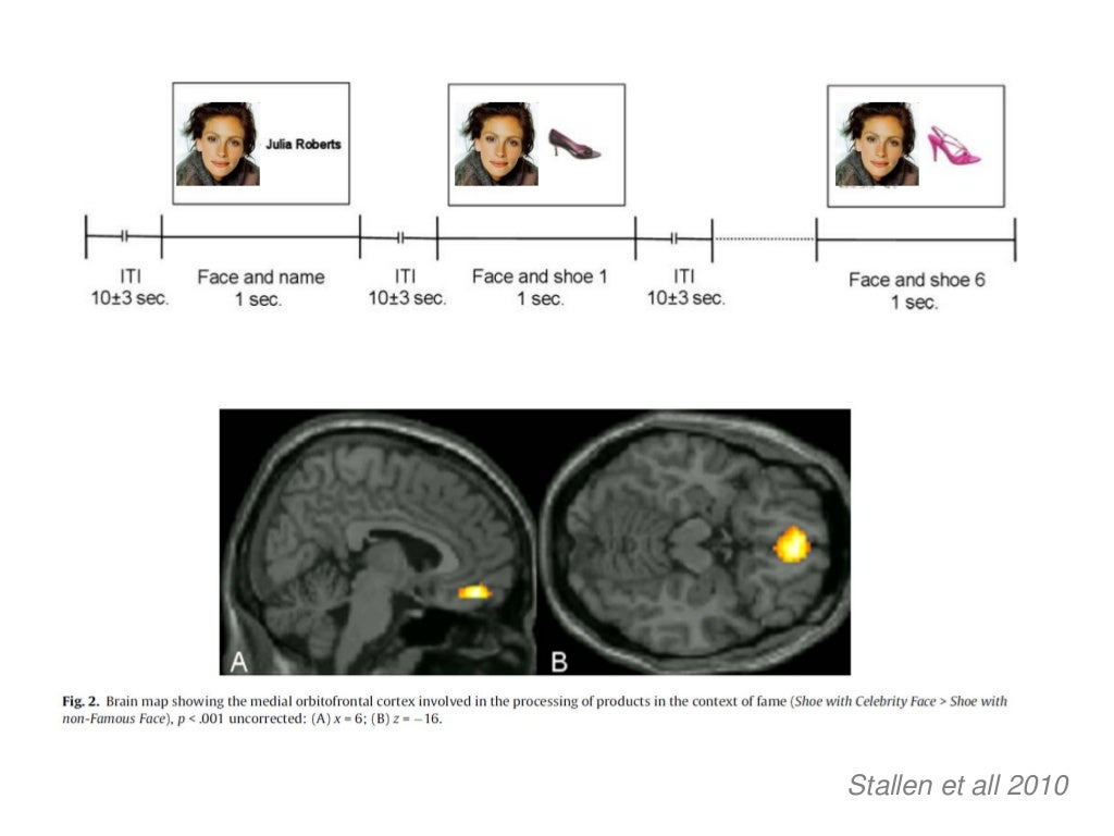 http://image.slidesharecdn.com/neuromarketinghse24062014-140627053755-phpapp02/95/slide-10-1024.jpg?cb=1403865533