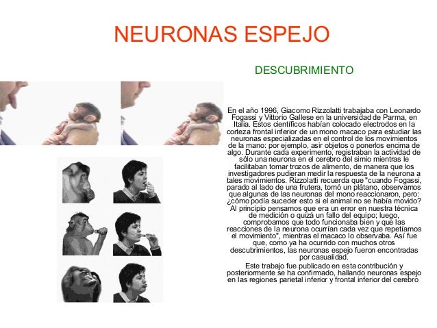 Blog NeuronUP