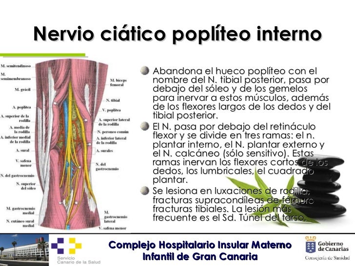 El dolor en los riñones a la hemorroide el tratamiento