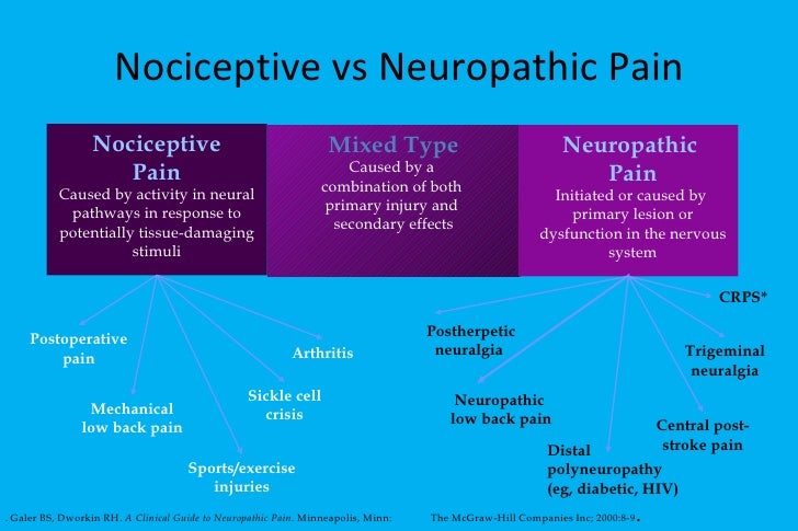 Nociceptive Vs Neuropathic Chart