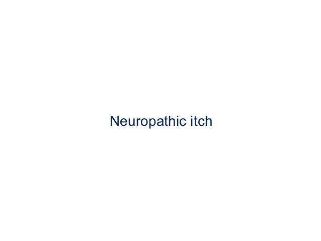 Neuropathic pruritus : Nature Reviews Neurology : Nature ...