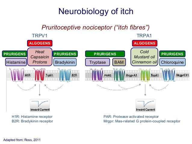 Itch - Wikipedia