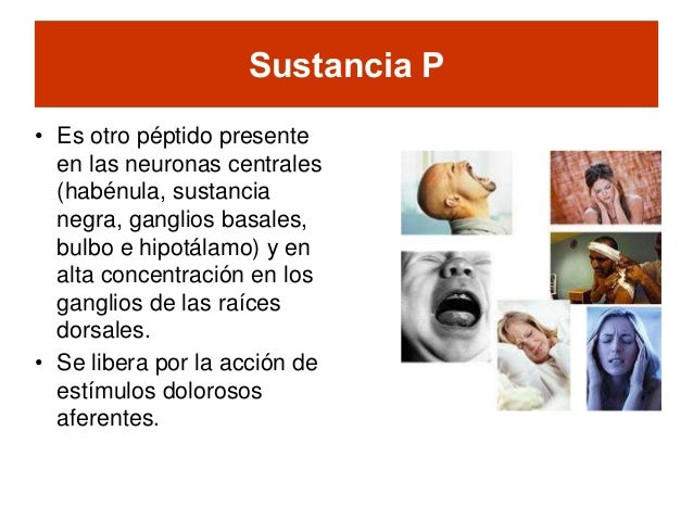 Neurotransmisores