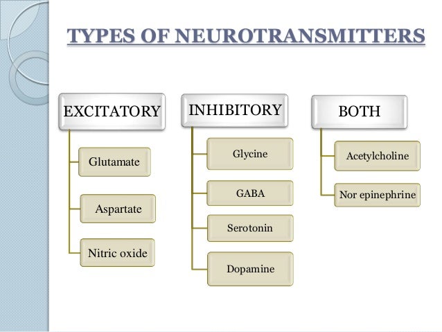 Which Of The Following Is An Inhibitory Neurotransmitter