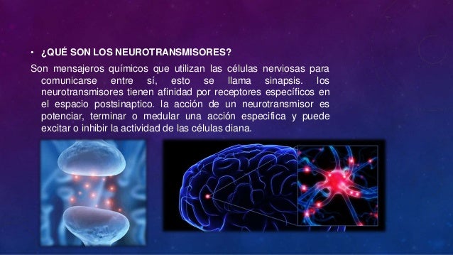 Neurotransmisores Neurotransmisores