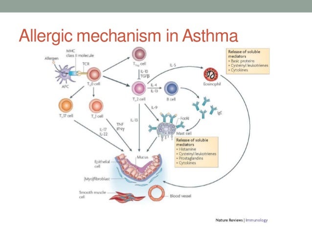 New drugs for asthma New drugs for asthma