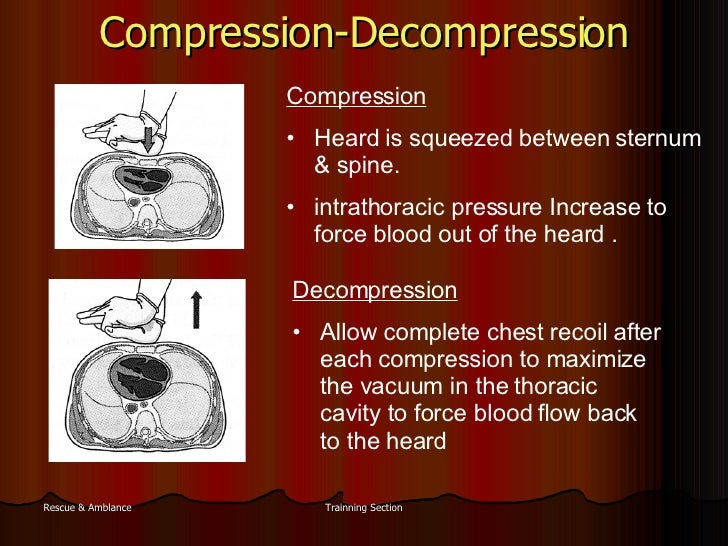 New Guidelines On Cpr