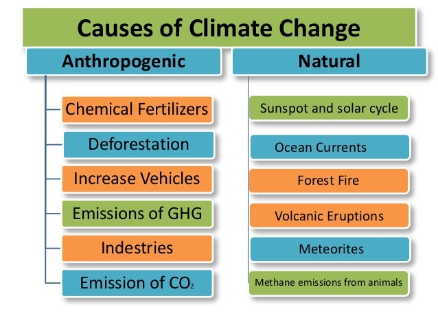 Climate Change Essay