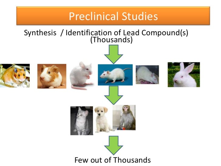 Image result for preclinical animal studies