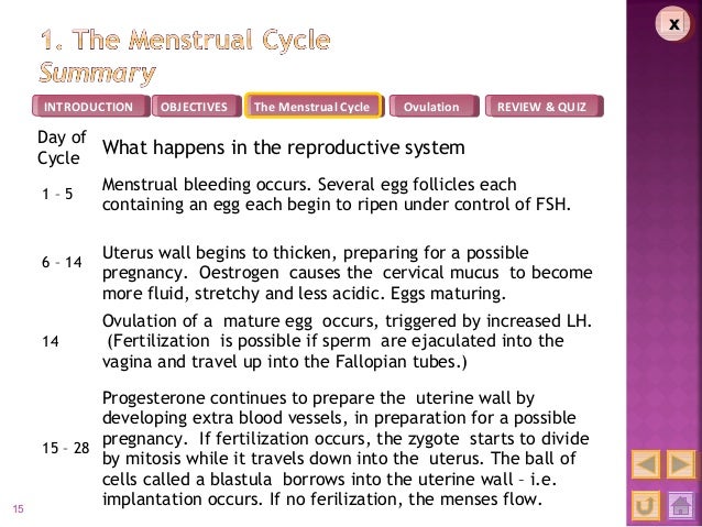 bleeding between menstrual cycles