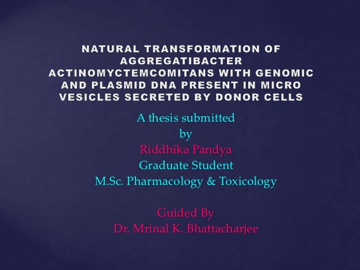 Thesis defense powerpoint