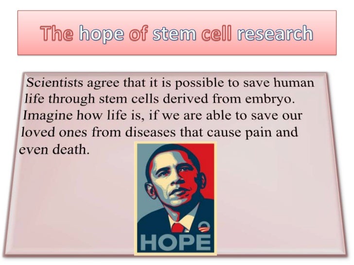 argumentative essay on stem cell research