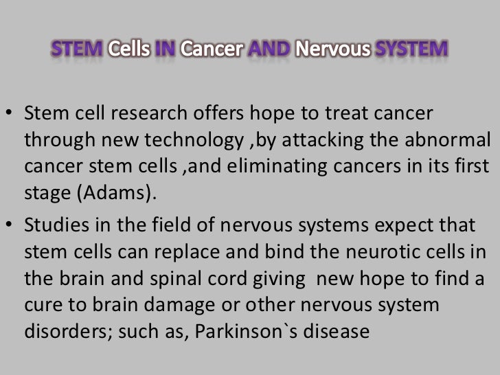 stem cell research yes or no essay stem cell research yes or no essay