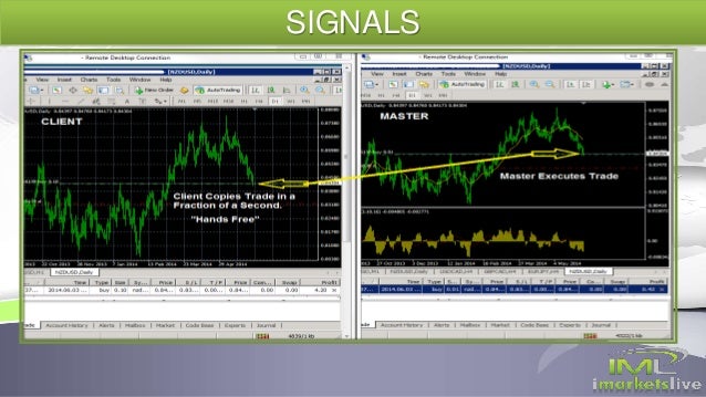 Iml forex compensation plan