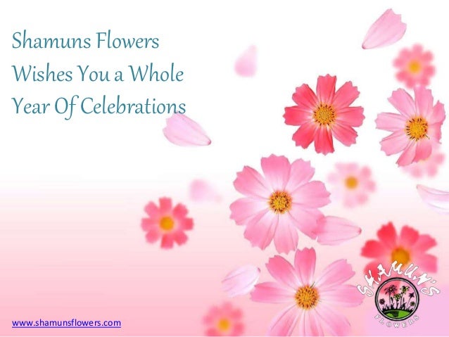 new years greetings from shamuns flowers new years greetings from shamuns flowers