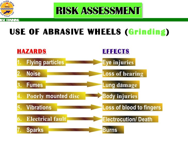 NGIRisk Assessment