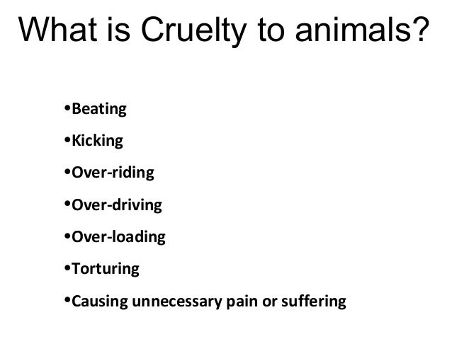 persuasive speech on animal cruelty outline speech persuasive speech on animal cruelty outline speech