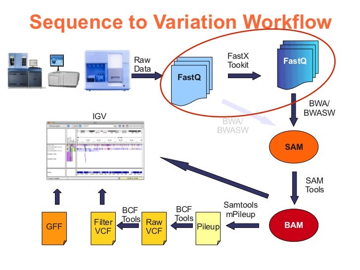 NGS Data Preprocessing
