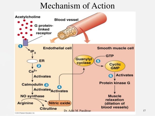 Sildenafil Hypertension
