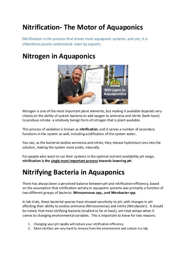 Nitrification- The Motor of Aquaponics