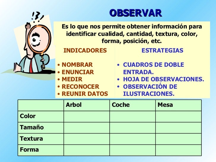 OBSERVAR Es lo que nos permite obtener información para identificar cualidad, cantidad, textura, color, forma, posición, e...