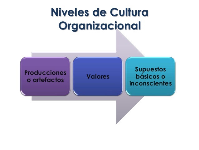 Cuales Son Los Niveles De La Cultura Organizacional
