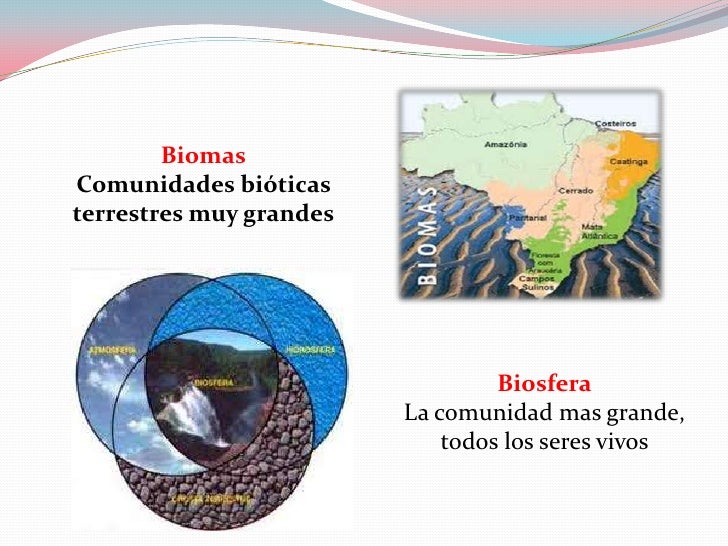 Biomas<br />Comunidades bióticas terrestres muy grandes<br />Biosfera<br />La comunidad mas grande, todos los seres vivos<...