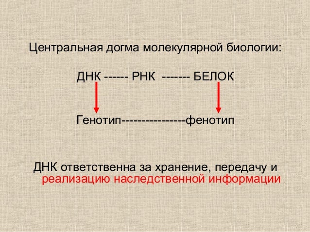 решебник по математике 6 класс кузнецова муравьёва