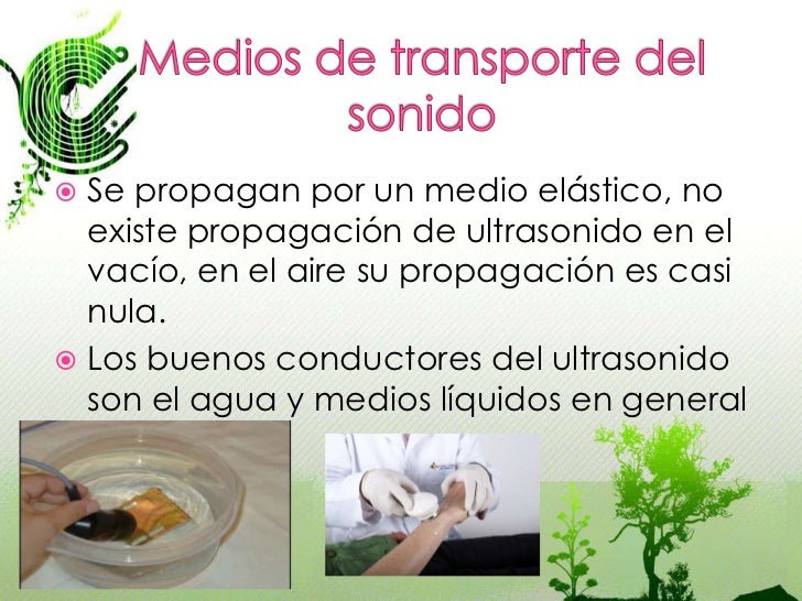 Por fimoza puede ser el miembro pequeño