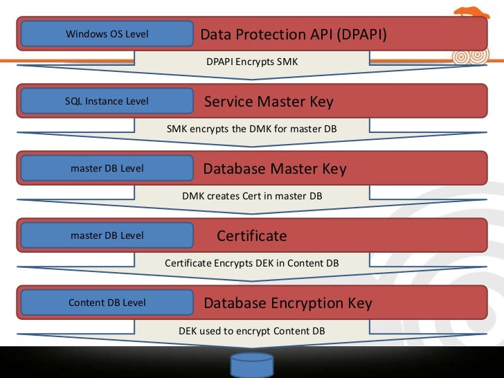 example dbmaster com example