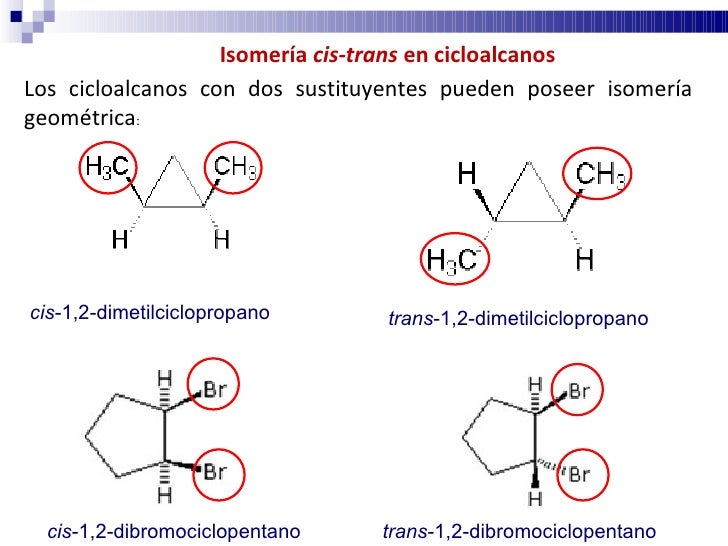 1 2 Dibromociclopentano