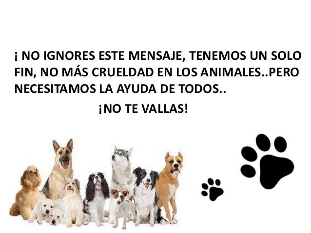CUIDA LOS ANIMALES
