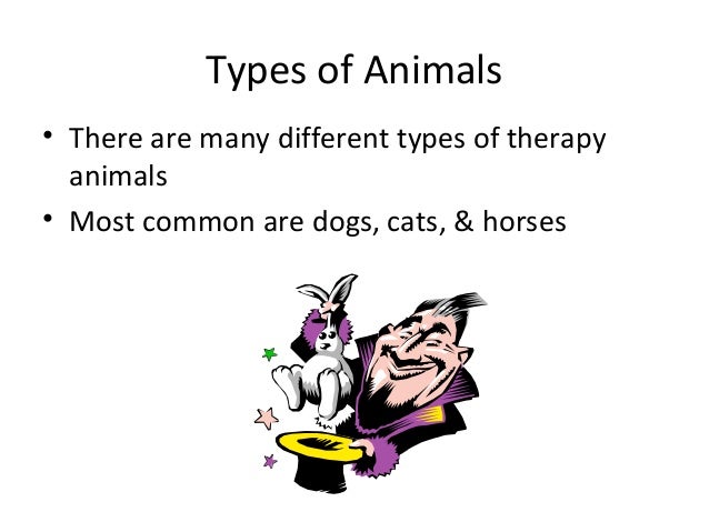 Animal Assisted Therapy Benefits For Clients