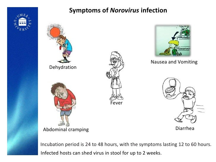 norovirus