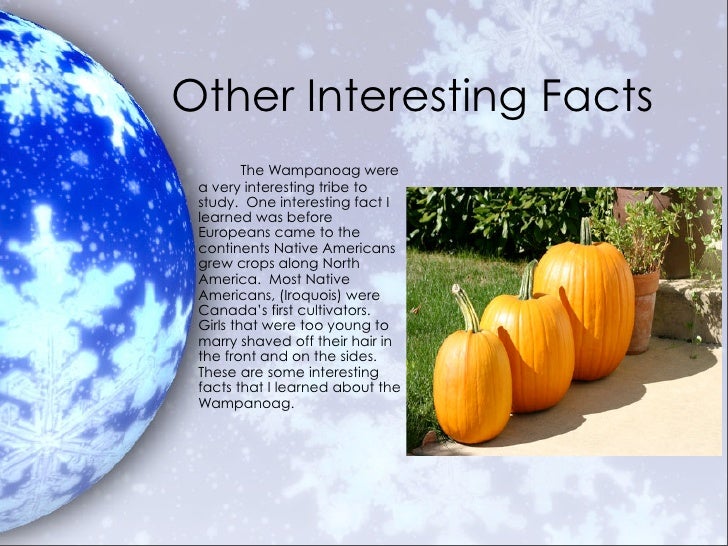 Northeast Native Americans