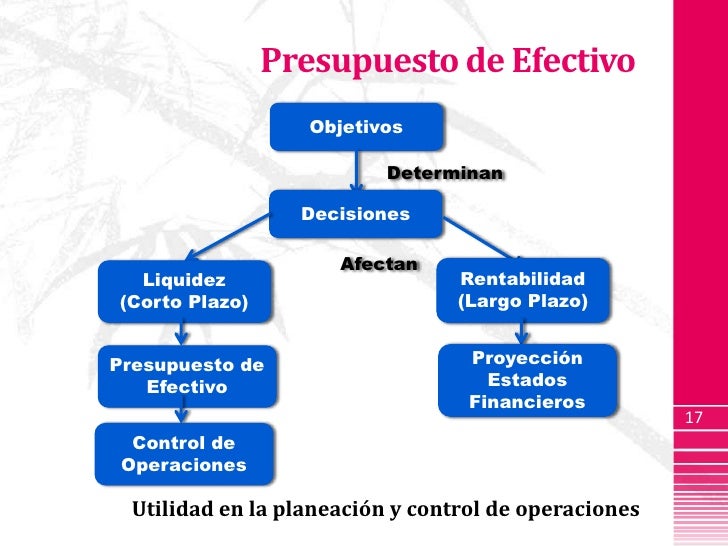 Presupuesto de Efectivo