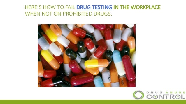 Drug testing in the workplace research papers