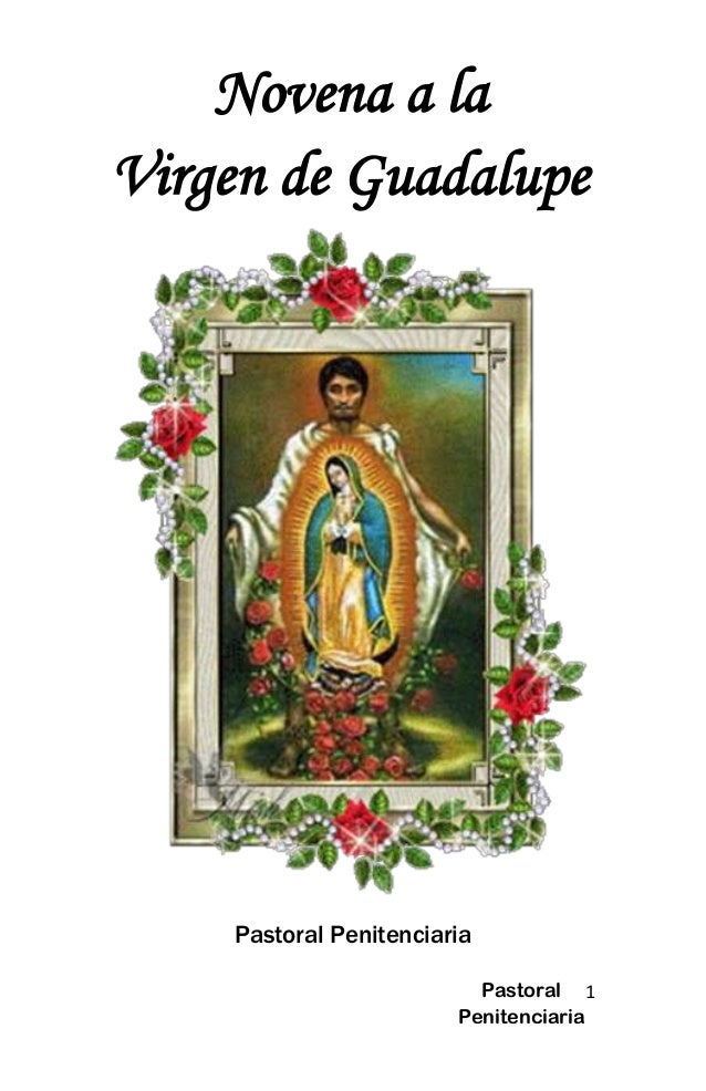 Novena a la virgen de guadalupe librillo