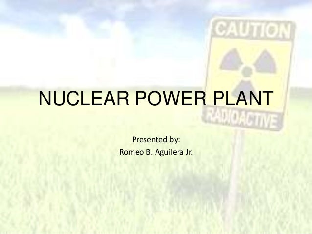 Essay On Nuclear Power Plant