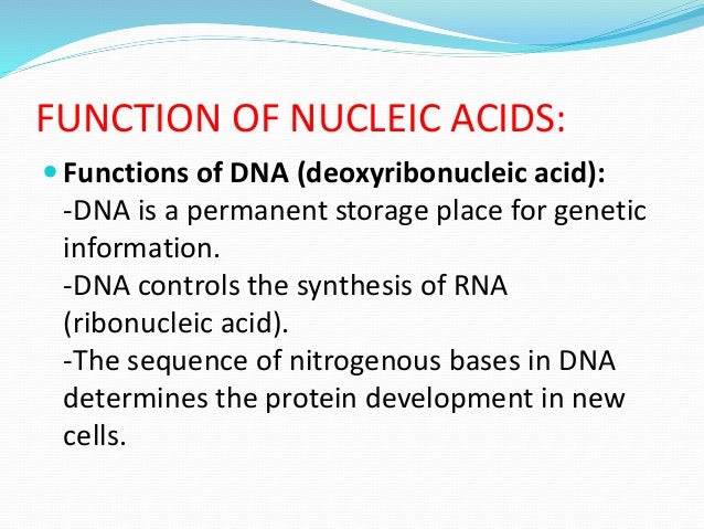 what is the purpose of acids and bases