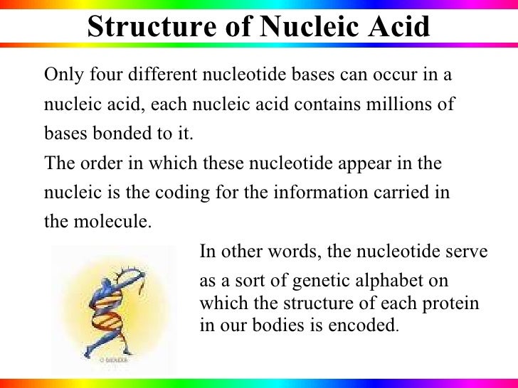 nucleic acids functions of nucleic acids