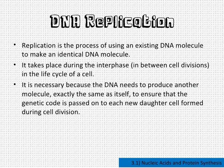 nucleic acids and protein synthesis